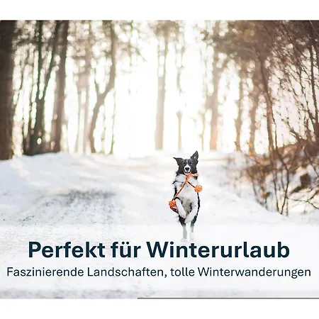 Karlshagen, Peeneblick Apartamento *